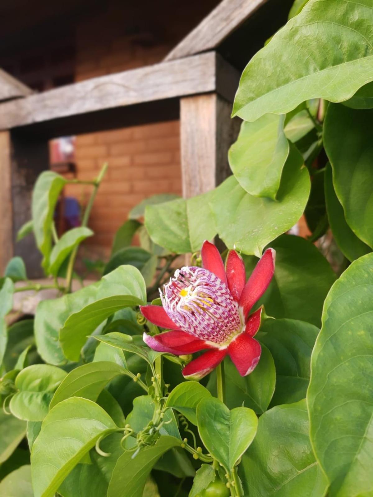 Huayapam Yu'U Lodge San Andres Huayapan Bagian luar foto